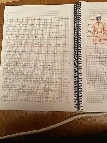 Ders notu