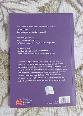 Sylvia Plath - Ariel ve Seçme Şiirler - Görsel 2
