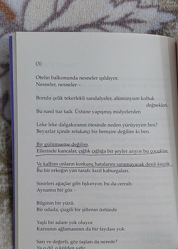 Sylvia Plath - Ariel ve Seçme Şiirler - Görsel 3