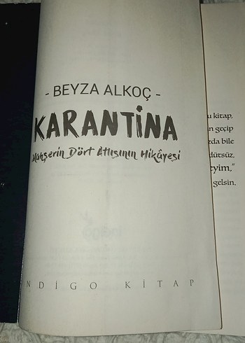 Beyza Alkoç - Karantina Romanı - Görsel 3