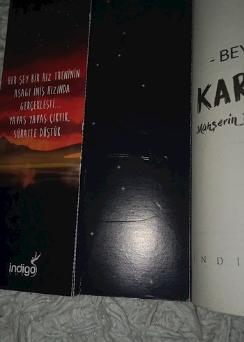 Beyza Alkoç - Karantina Romanı - Görsel 2