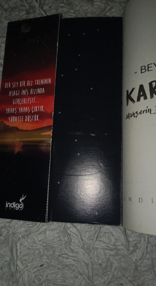 Beyza Alkoç - Karantina Romanı - Görsel 2