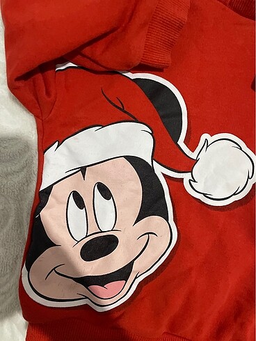 Walt Disney World Kapşınlu kazak