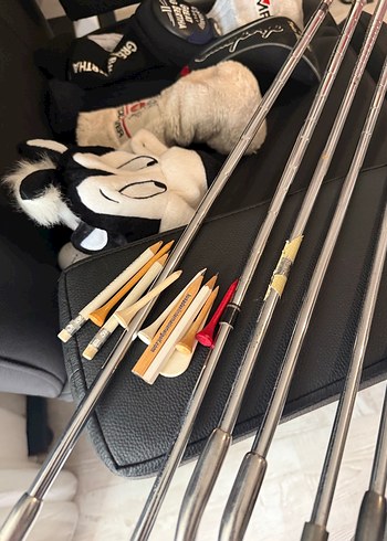 Golf seti tam takım - Görsel 5