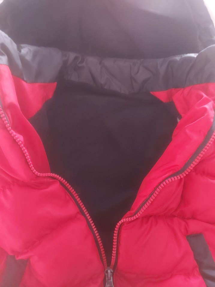 Erkek Çocuk Kırmızı siyah Fermuarlı Mont - Görsel 4