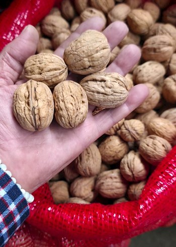 1 kg fiyatıdır. - Görsel 2