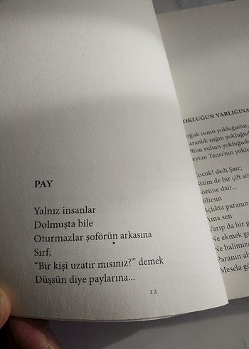 ŞİİR KİTABI..Yalnız İşlere Bulaştım ...193 sayfa - Görsel 4