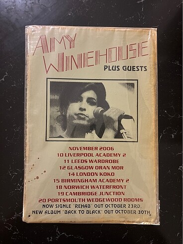 Amy wınehouse poster