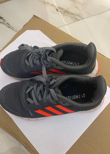 Adidas 31