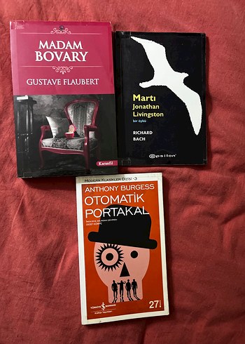 Dünya klasikleri kitap - Görsel 11