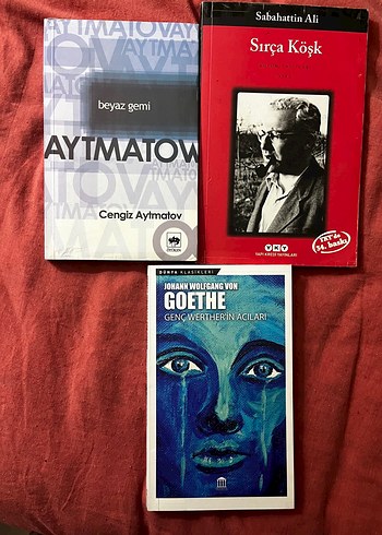 Dünya klasikleri kitap - Görsel 9