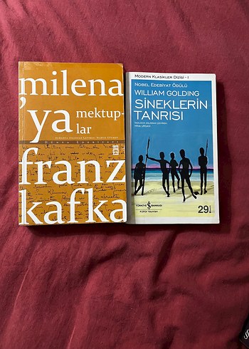 Dünya klasikleri kitap - Görsel 13