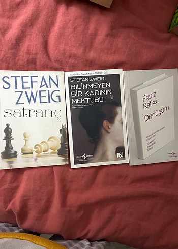 Dünya klasikleri kitap - Görsel 14