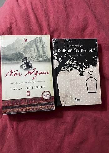 Dünya klasikleri kitap - Görsel 16