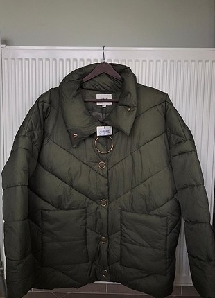 Koton mont