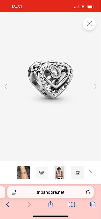  Beden gri Renk Pandora charm