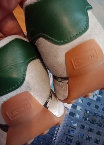 Lacoste lspin