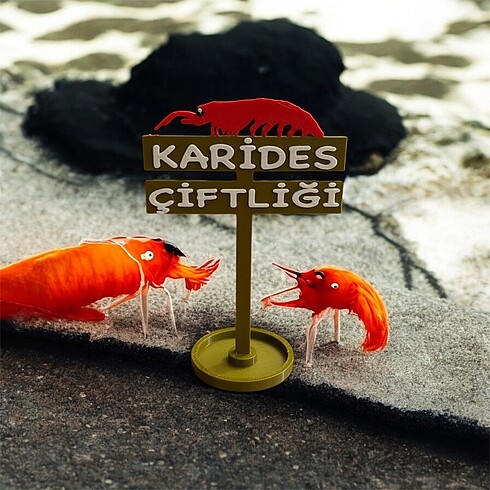 Karides Çiftliği Akvaryum Tabelası
