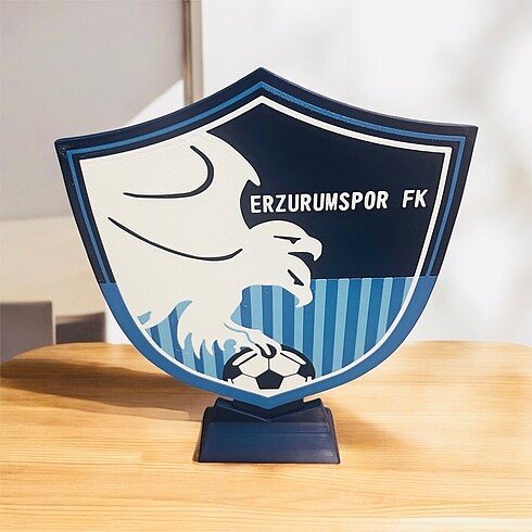 Erzurumspor FK