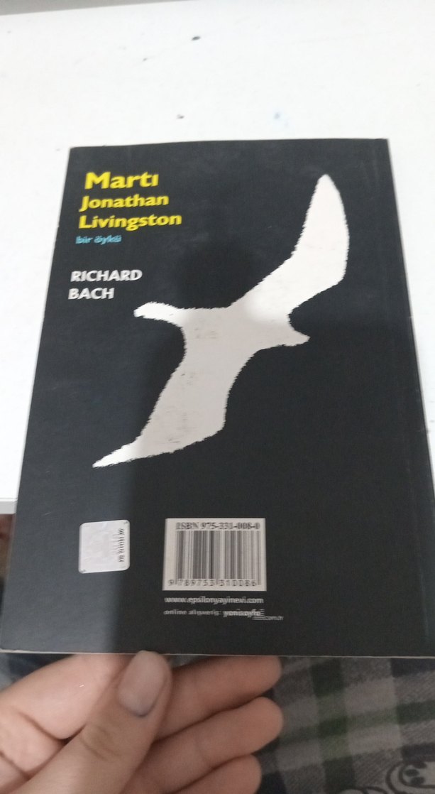 Jonathan Livingston Martı - Richard Bach - Görsel 2