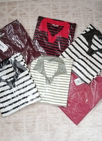 Polo yaka bady