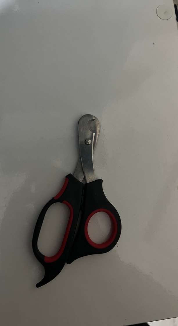 Kedi Tırnak Makası Siyah-Kırmızı - Görsel 2