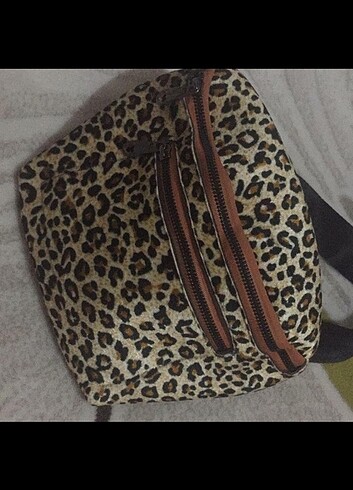  Beden Leopar