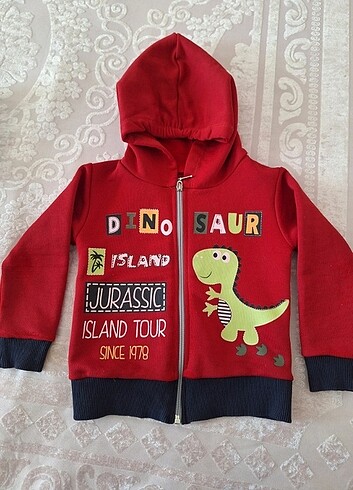 4 Yaş Beden Dino takım