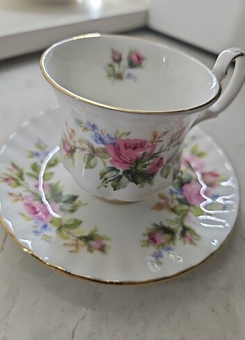 Beden çeşitli Renk Royal Albert Moss Rose Kahve fincanı