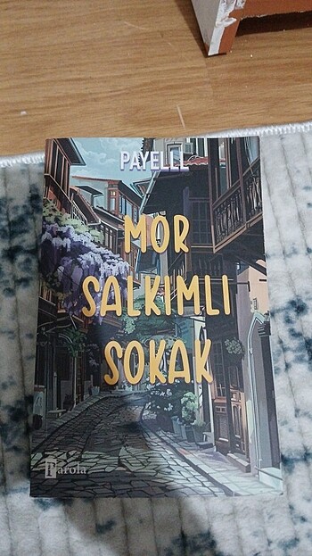 Mor salkımlı sokak