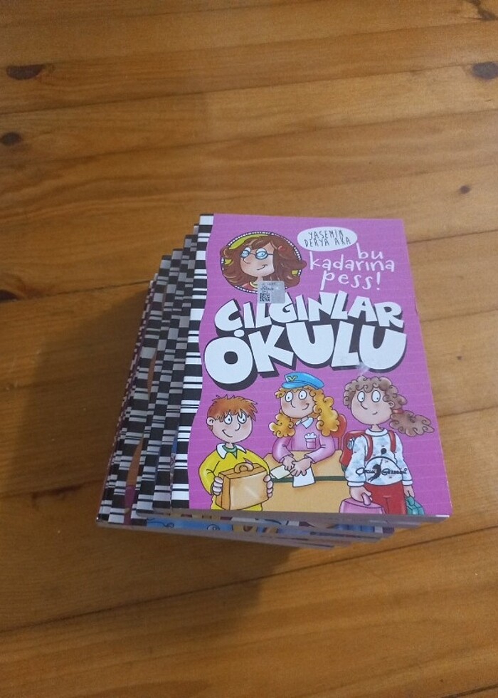 Çılgınlar Okulu - Görsel 2