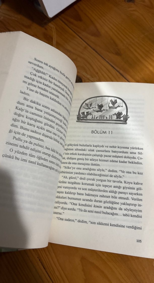 Çikolata Kalpli Ejderha - Stephanie Burgis - Görsel 2