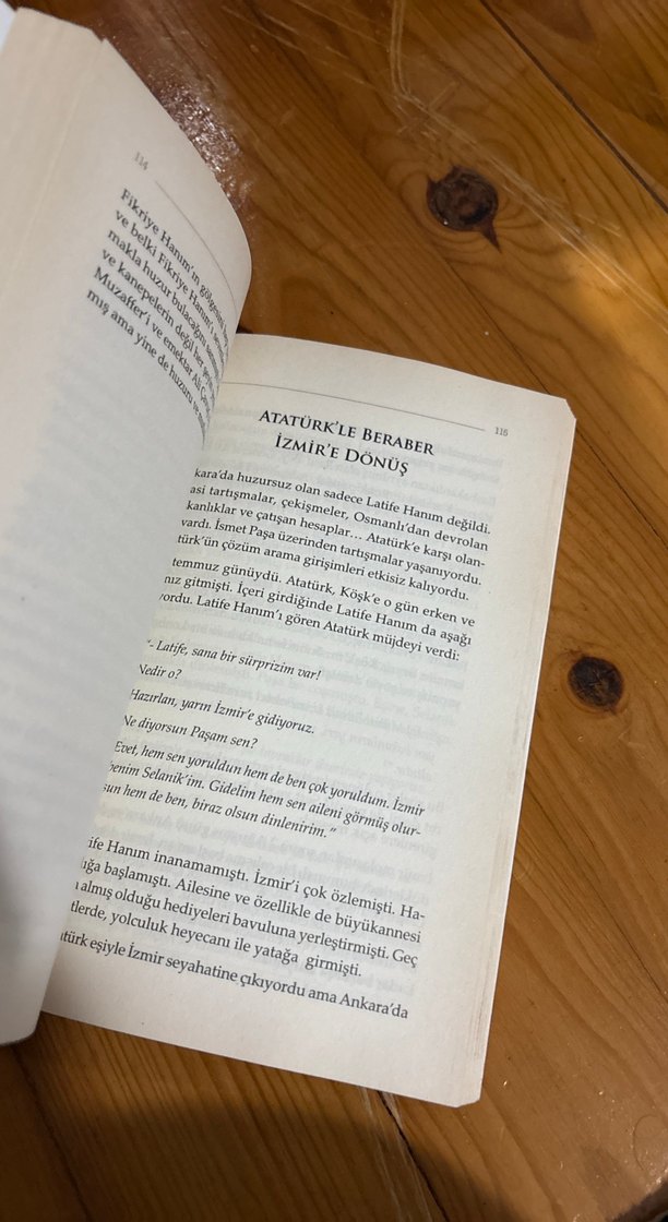 Ata ile Latife Hanımefendi Romanı - Görsel 2