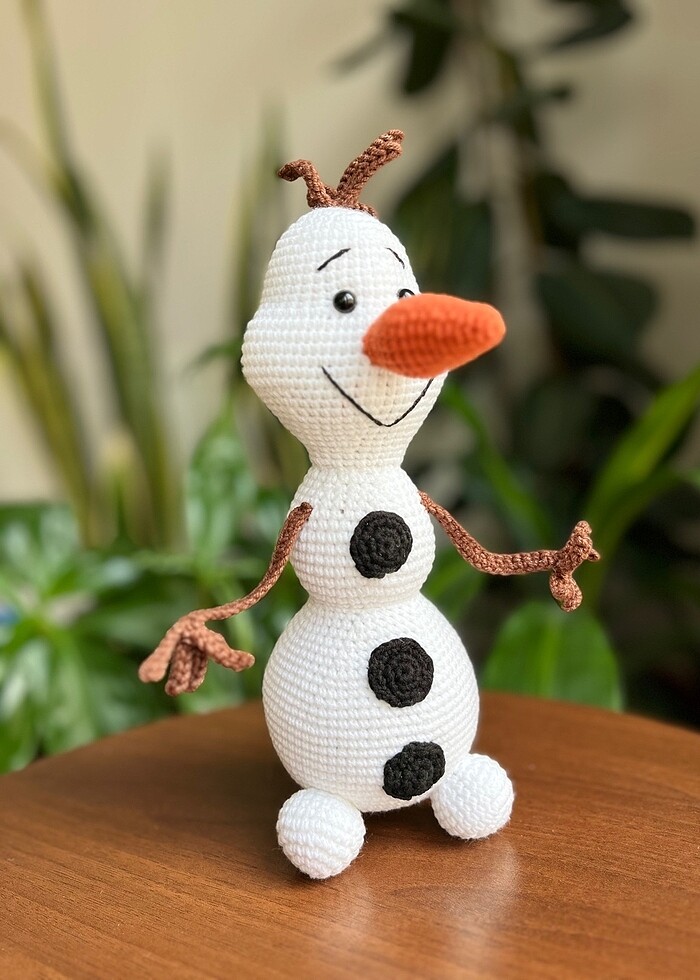 Karlar ülkesi olaf - Görsel 2