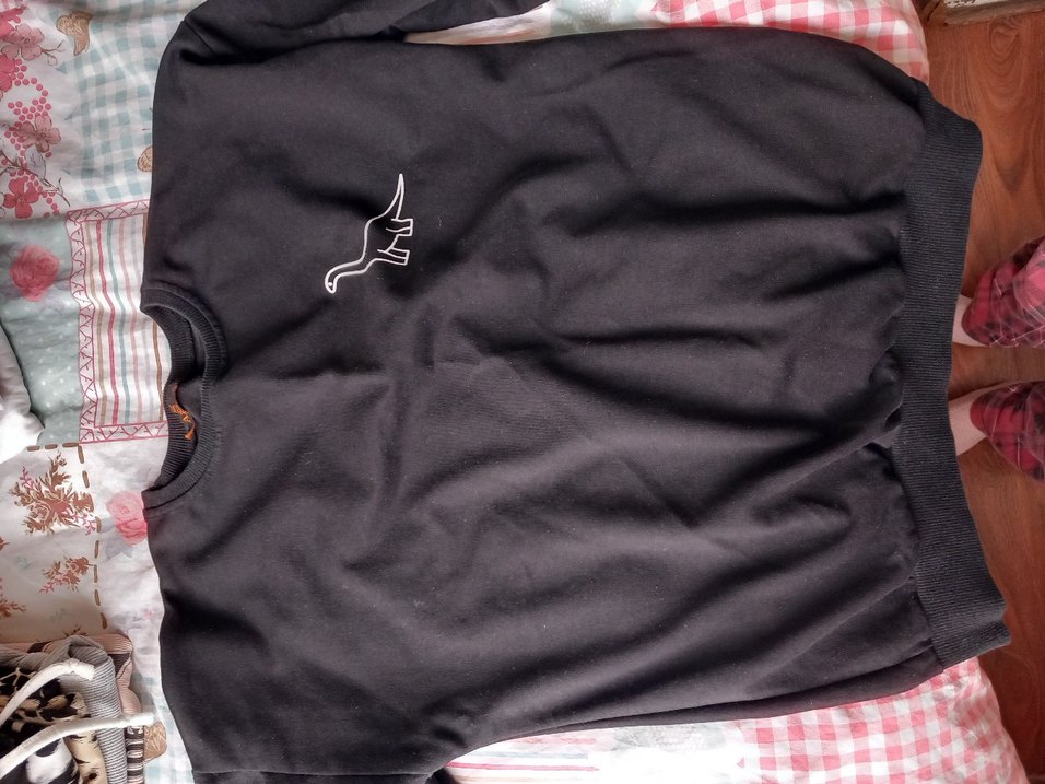 Siyah Baskılı Kadın Sweatshirt - Görsel 2