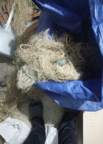 Balık ağı - Görsel 3