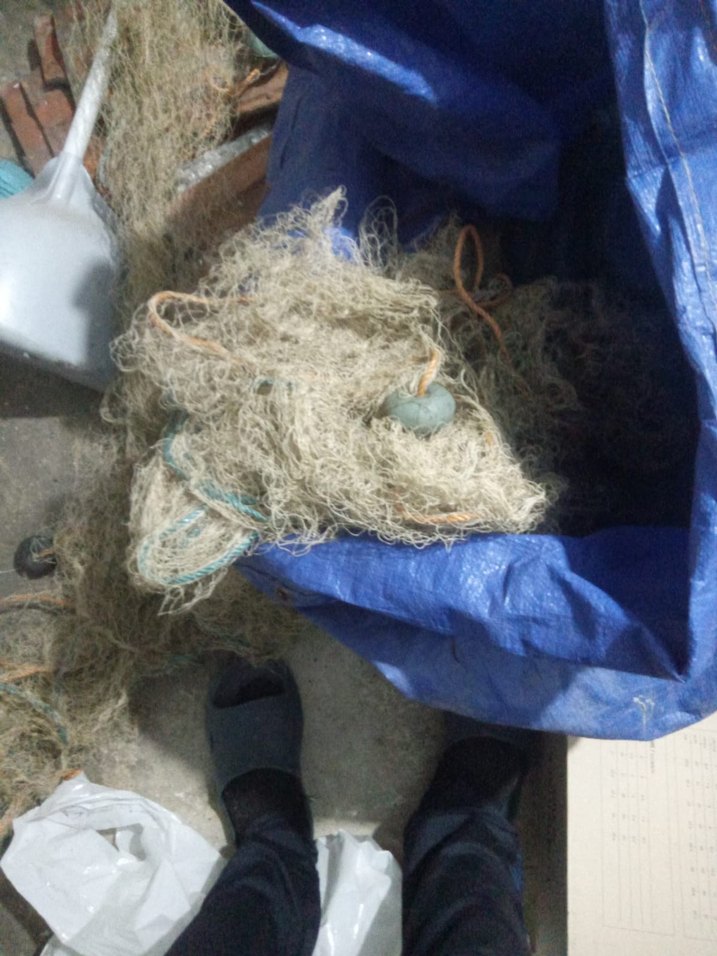 Balık ağı - Görsel 3