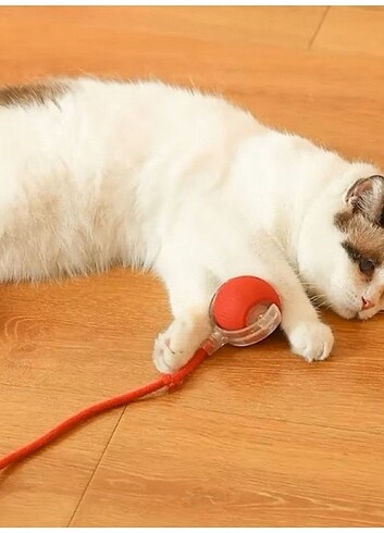 Şarjlı Kedi Oyuncağı