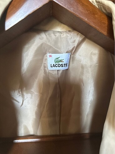 36 Beden Lacoste