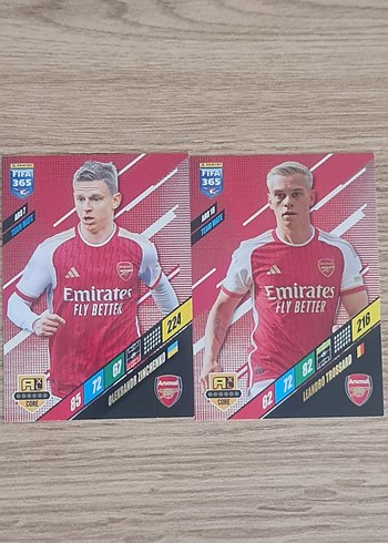 Panini Arsenal Kartlar