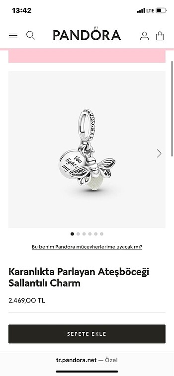 Beden çeşitli Renk Pandora Charm