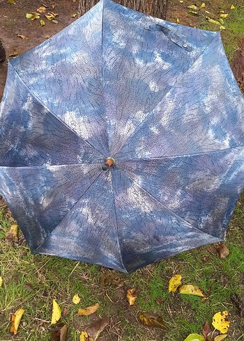 Mavi Vintage Kadın Şemsiye Tokalı - Görsel 3