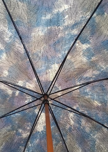 Mavi Vintage Kadın Şemsiye Tokalı - Görsel 6