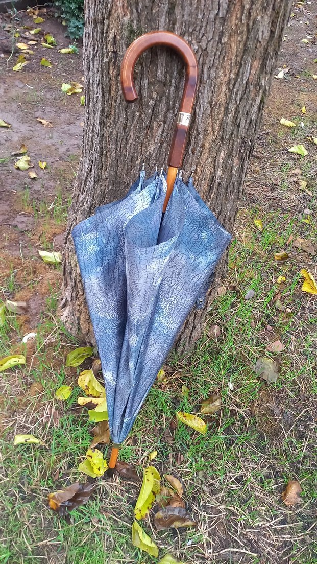 Mavi Vintage Kadın Şemsiye Tokalı - Görsel 4