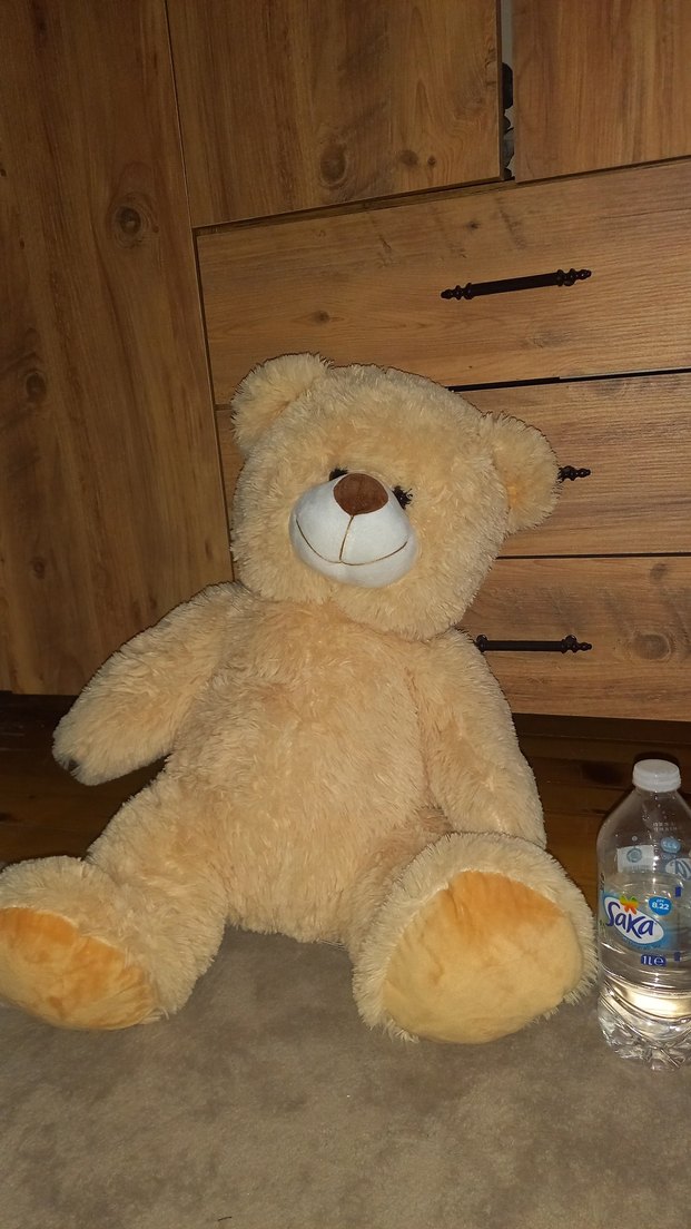 Parlak Bej Peluş Ayı Oyuncak - Görsel 2