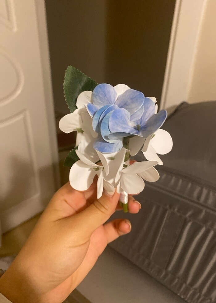 Gelin çiçeği - Görsel 4