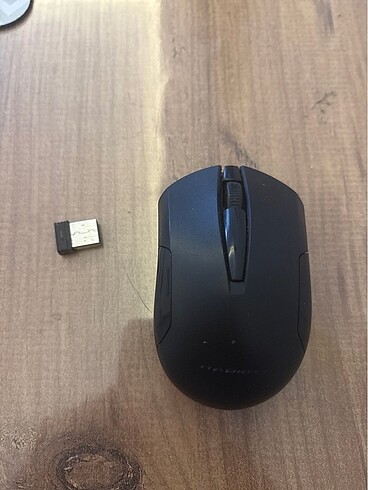 MOUSE