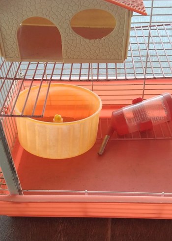hamster Ev ve Su Kabı