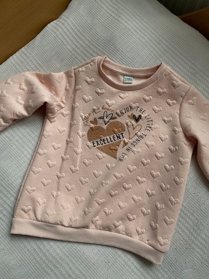 Kız Çocuk Pembe Nakışlı Sweatshirt - Görsel 4