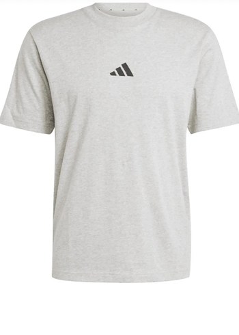 Gri Kısa Kollu Erkek Tişört - Görsel 2